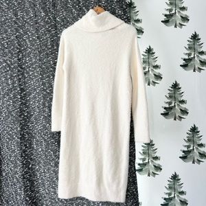 Banana Republic Winter Dress